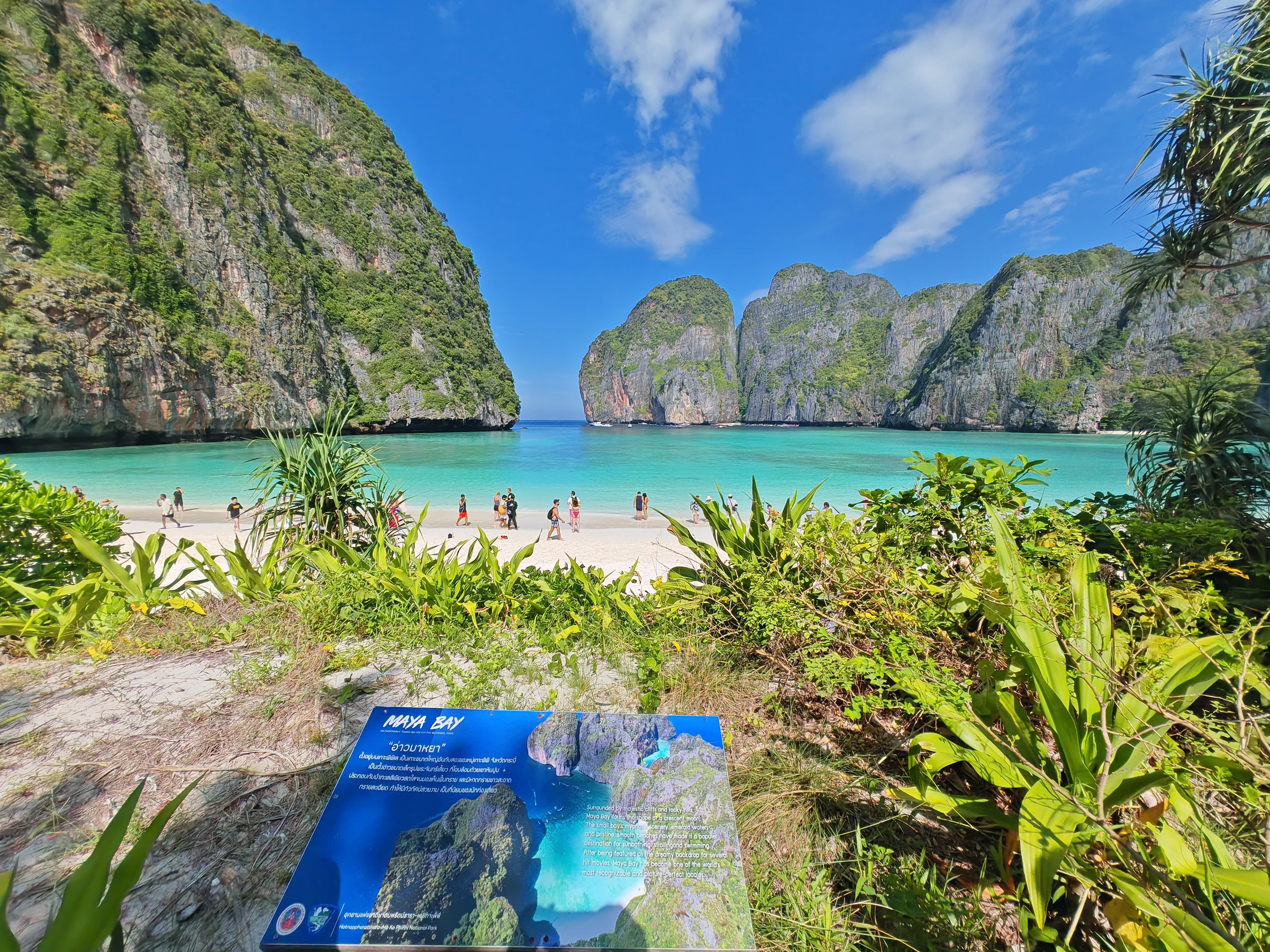 Limestone cliffs framing the turquoise water and white sand of Maya Bay