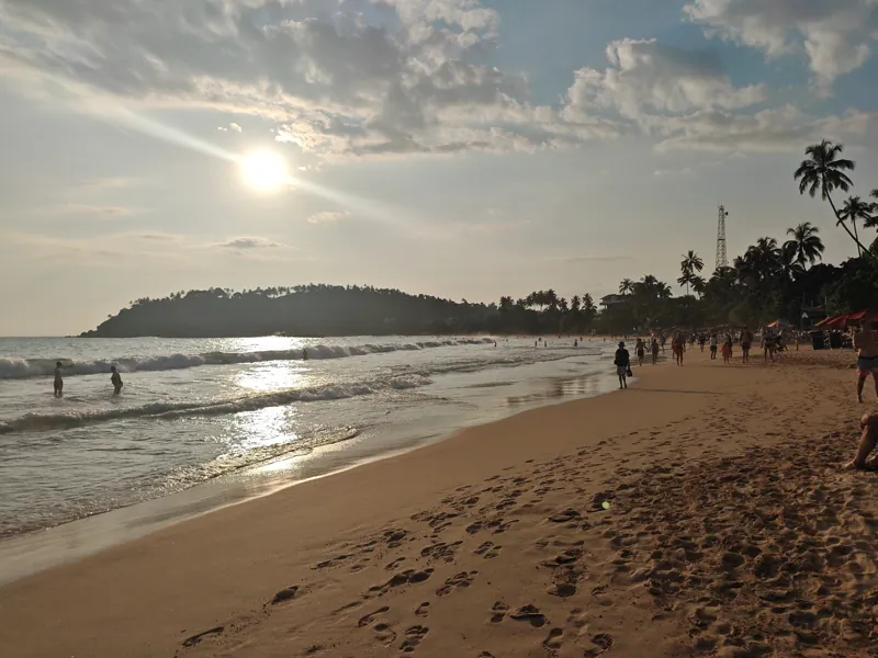 Warm evening sunlight over waves and a palm-lined beach in Mirissa