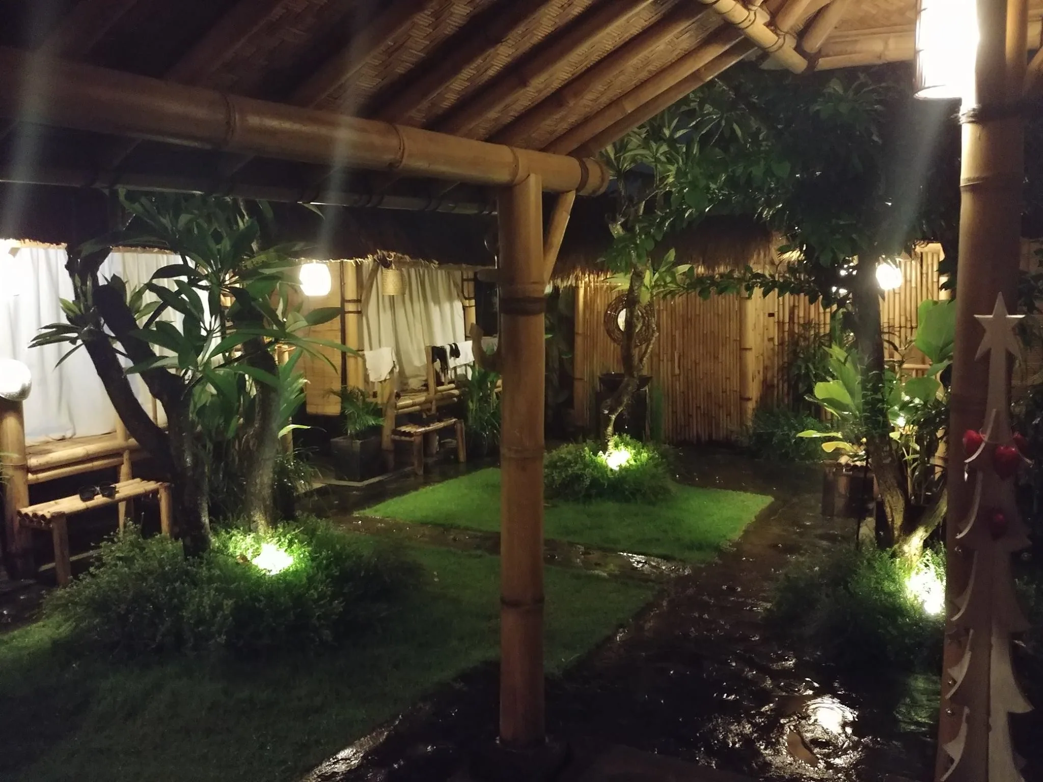 A sheltered garden and walkway illuminated at night