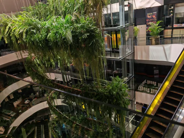 Greenery and glass lifts inside a Bangkok shopping centre