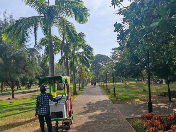 A shaded palm-lined path in a Colombo park
