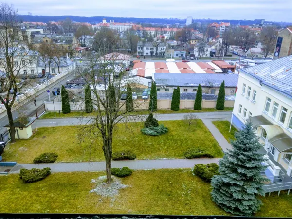 A garden and surrounding Vilnius rooftops in winter light