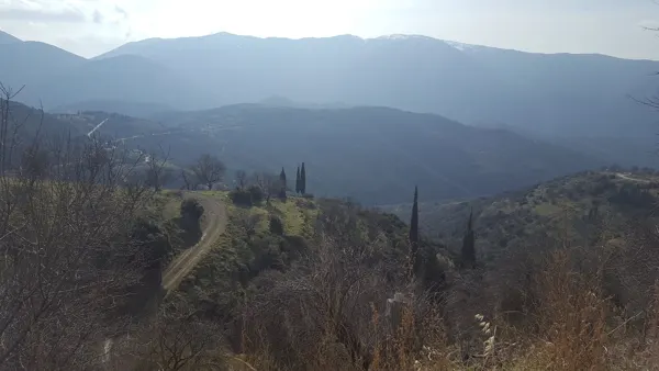 Layers of blue-grey mountains beyond trees near Arachova