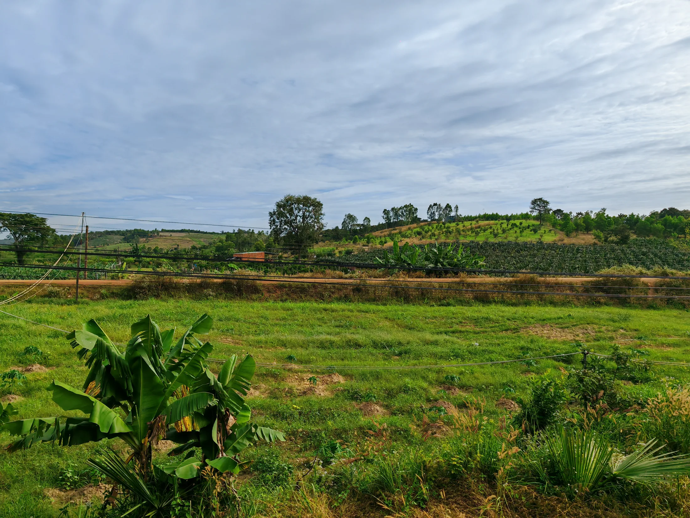 Green fields seen from a train travelling through Vietnam