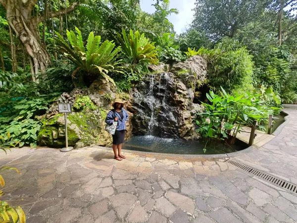 A traveller beside a waterfall in a Singapore garden