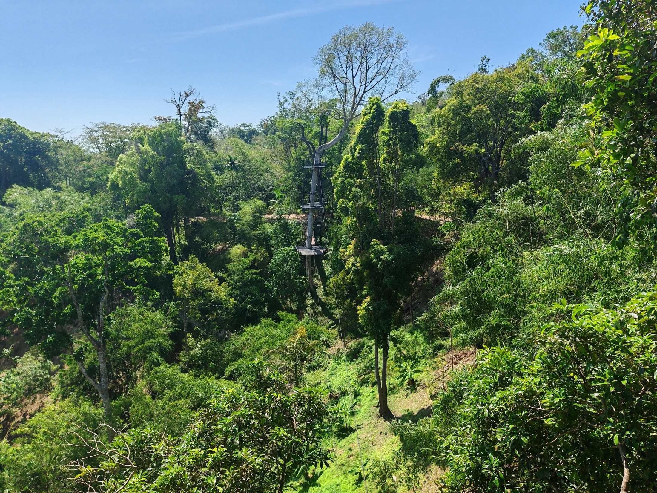 A treetop adventure course above a forest in Phuket