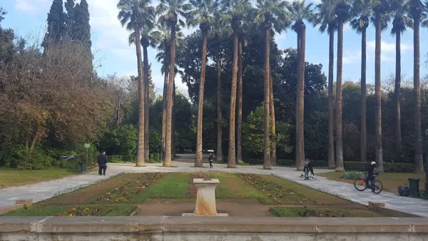 Tall palms around a garden path in Athens