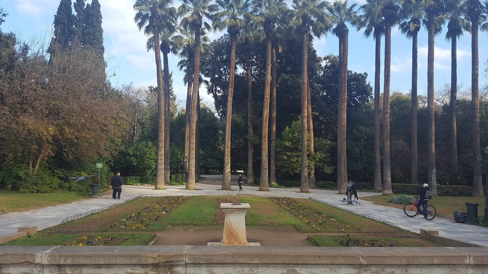 Tall palms around a garden path in Athens