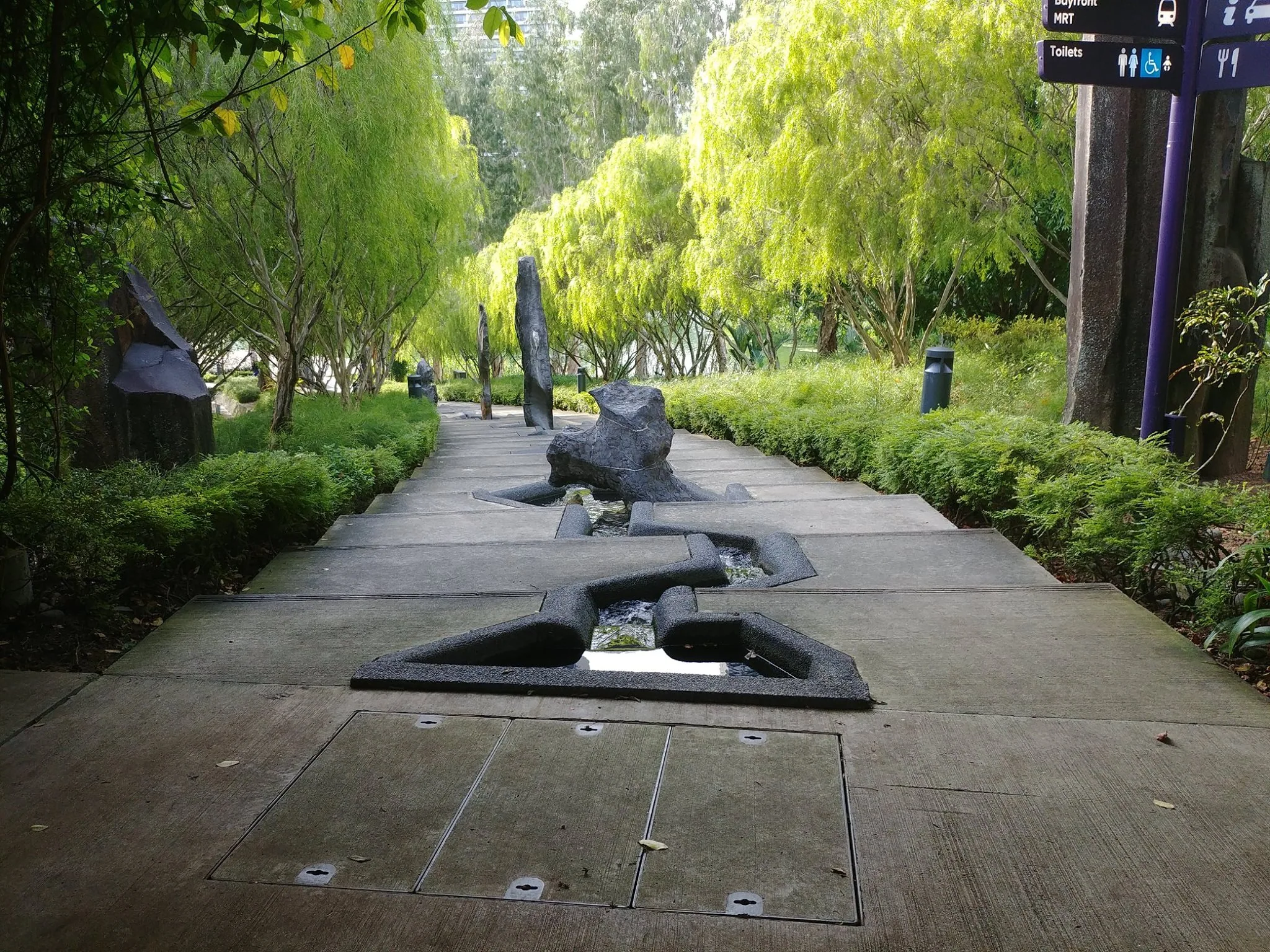 A shaded garden path beneath hanging green branches