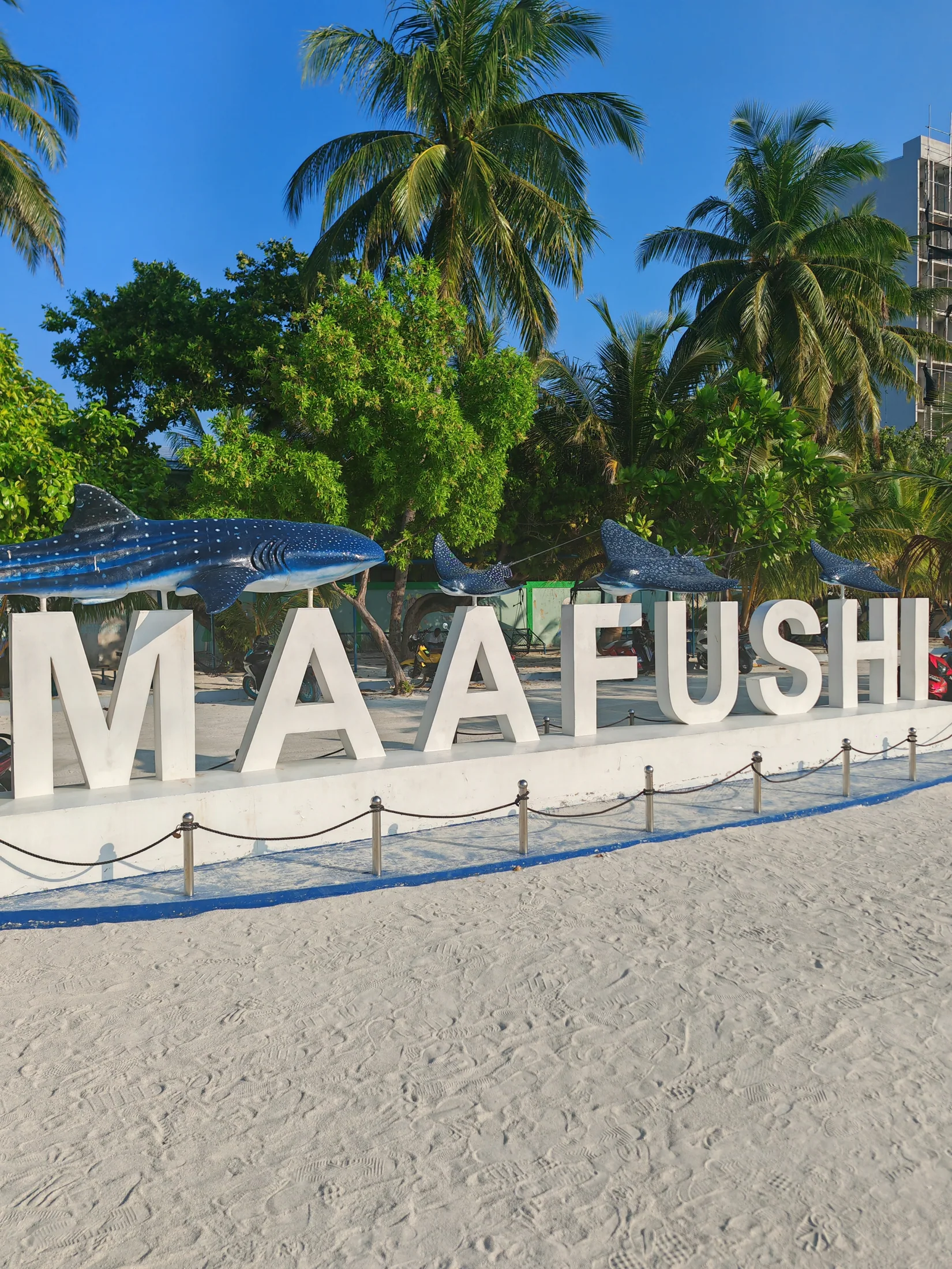 Large Maafushi lettering beside palms and sand