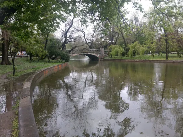 Trees and a small bridge reflected in a park lake