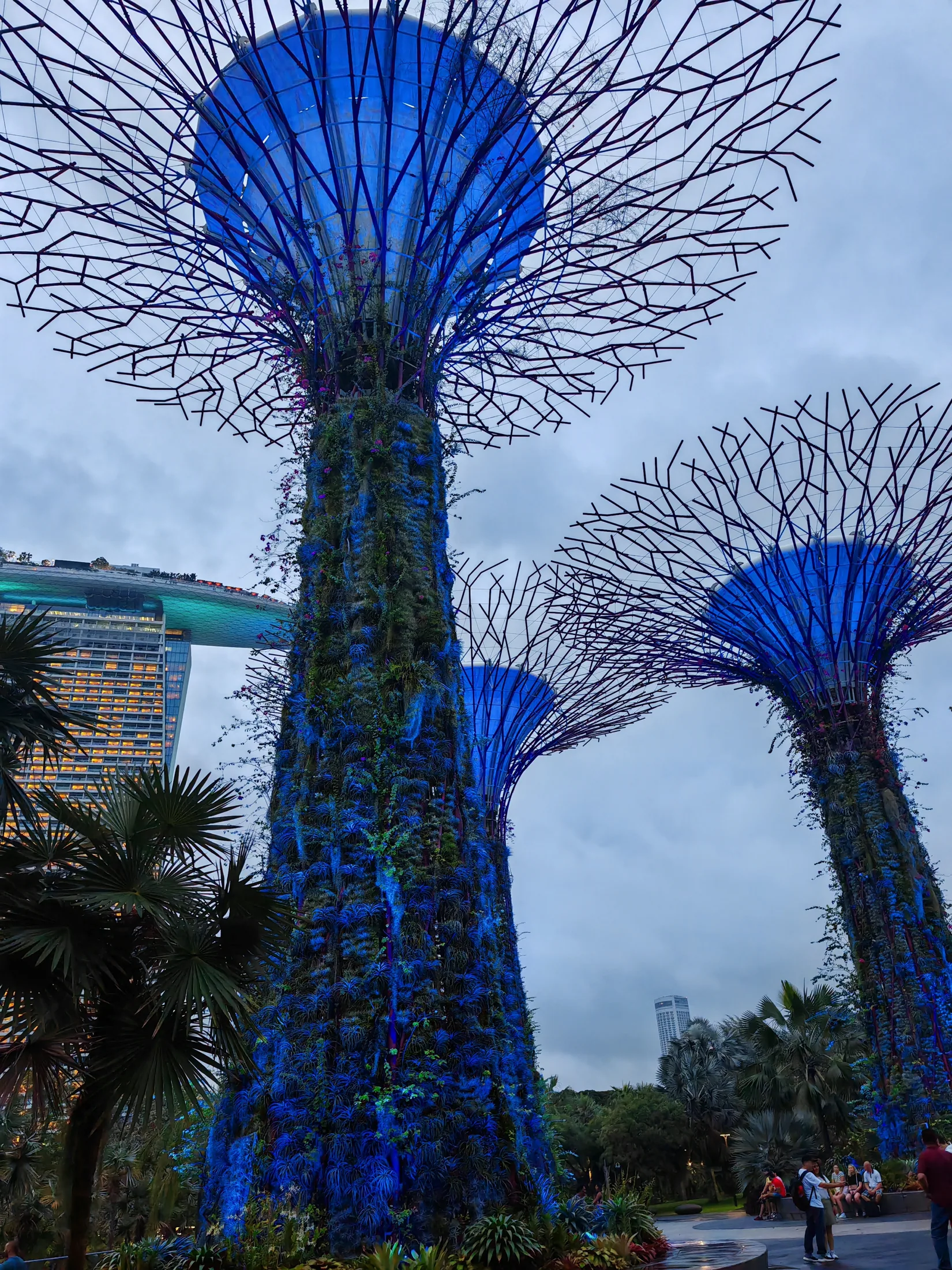 Illuminated Supertrees at Gardens by the Bay in Singapore